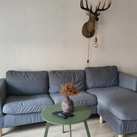 別荘 Le Grand Cerf Citadin サン・テュベール