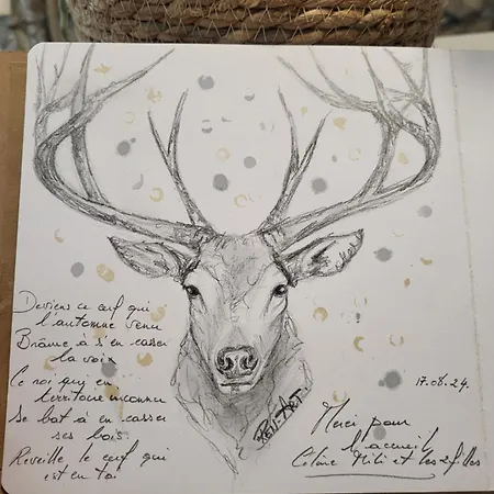 Le Grand Cerf Citadin * Saint-Hubert