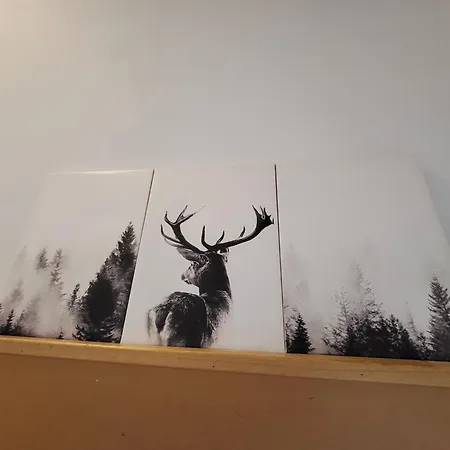 Le Grand Cerf Citadin Casa de Férias Saint-Hubert