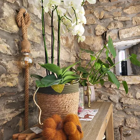 Casa de Férias Le Grand Cerf Citadin