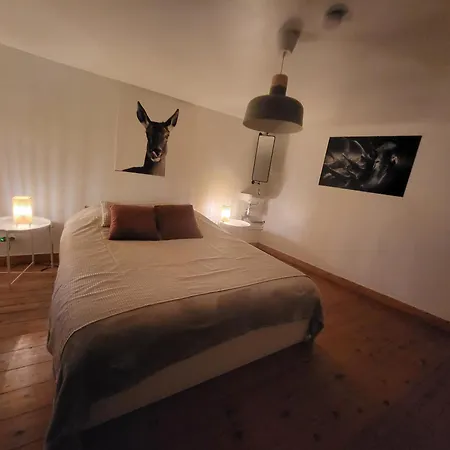 Le Grand Cerf Citadin * サン・テュベール