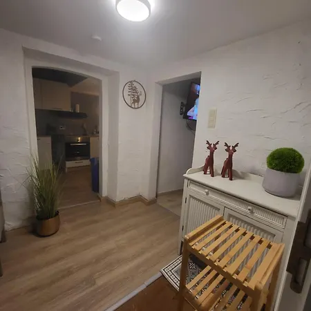 Le Grand Cerf Citadin サン・テュベール