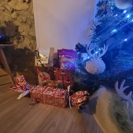 別荘 Le Grand Cerf Citadin サン・テュベール