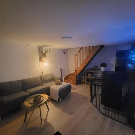 Le Grand Cerf Citadin * Saint-Hubert